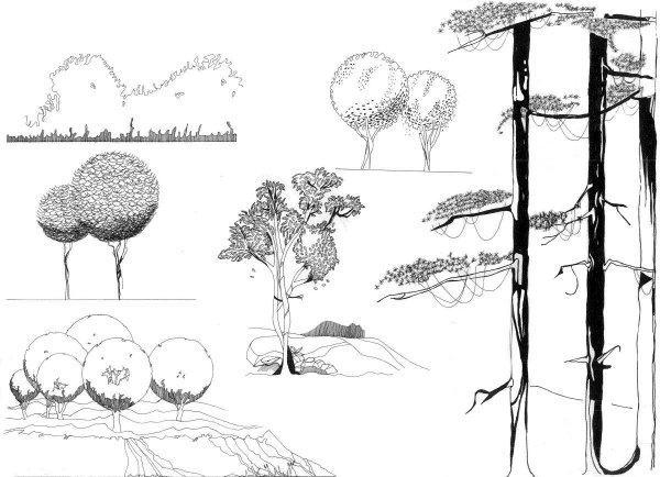 Антураж стаффаж деревья