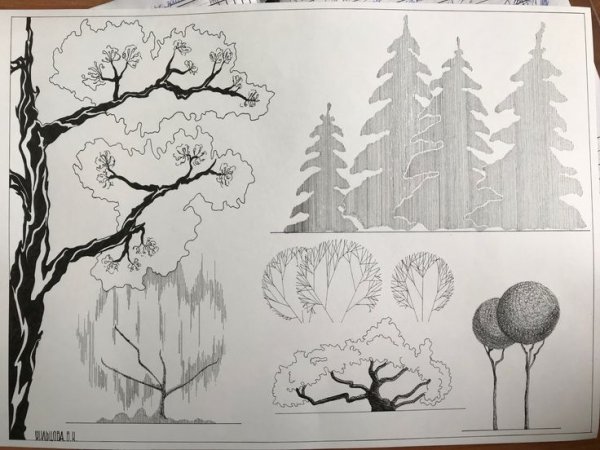 Антураж стаффаж деревья