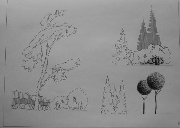 Антураж стаффаж кусты