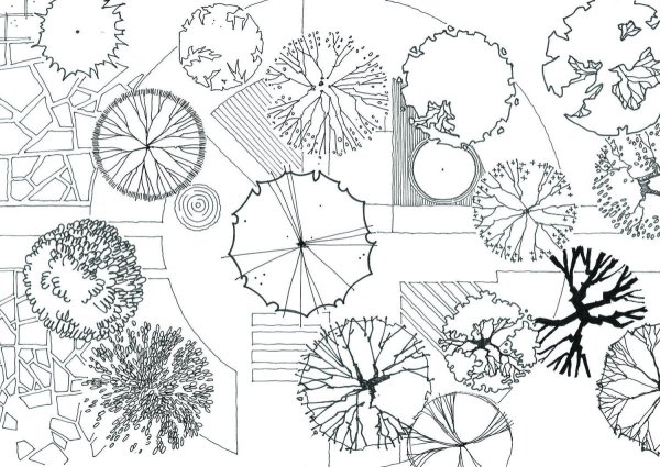 Стаффаж антураж деревья сверху