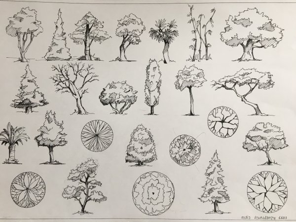 Стаффаж антураж деревья кусты