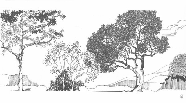 Проектная Графика деревья