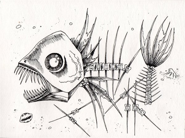 Боб Гейл рисунок