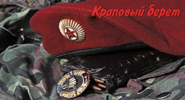 ВВ МВД РФ краповый берет