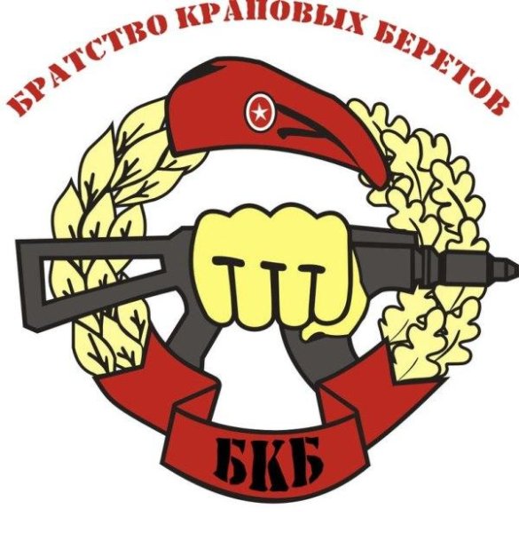 Братство краповых беретов Витязь логотип