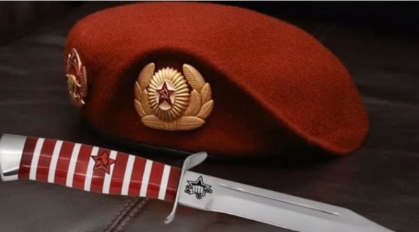 Спецназ ВВ краповый берет