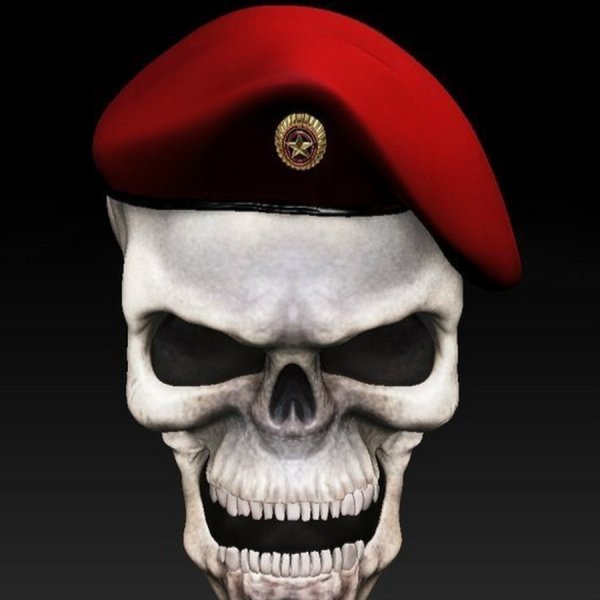 Череп в краповом берете