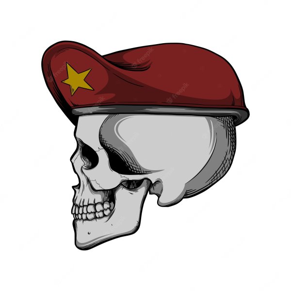 Краповый берет череп