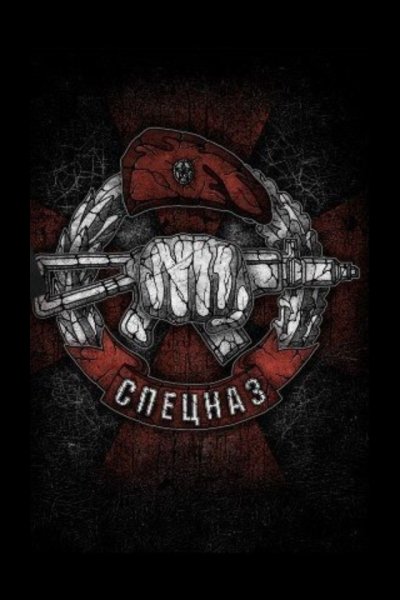 ЦСН Витязь эмблема