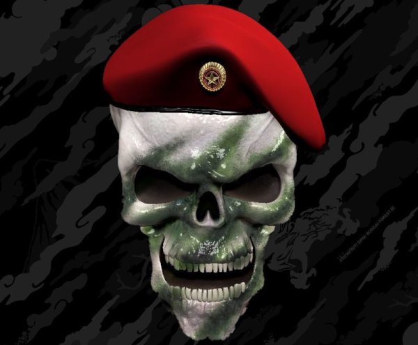 Спецназ краповый берет арт