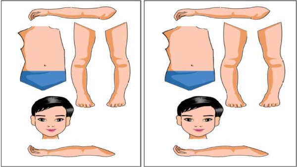 Части тела человека для детей