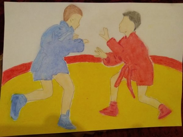 Медведь самбо