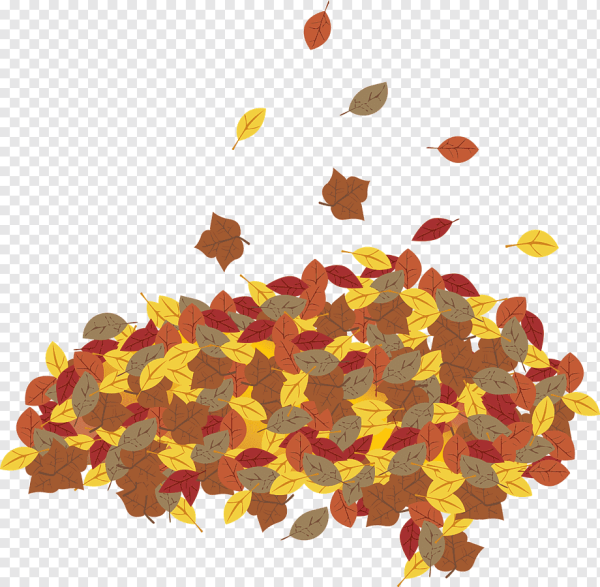 Кучка листьев