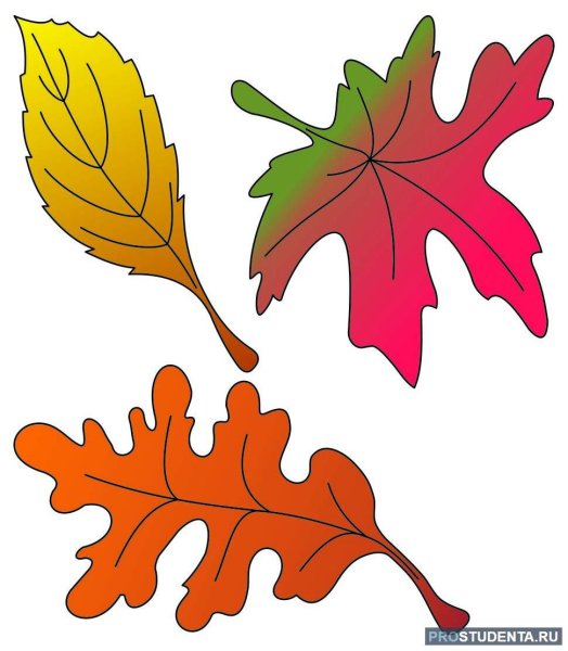 Листопад картинки для детей