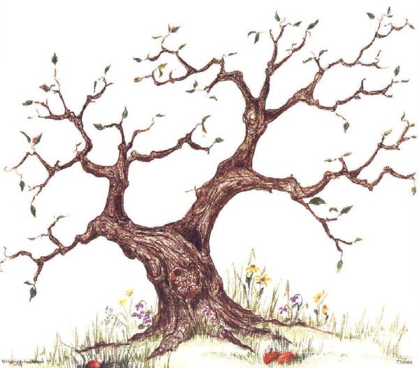 Дерево без листочков