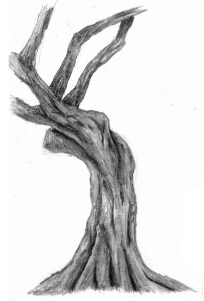 Ствол дерева красками