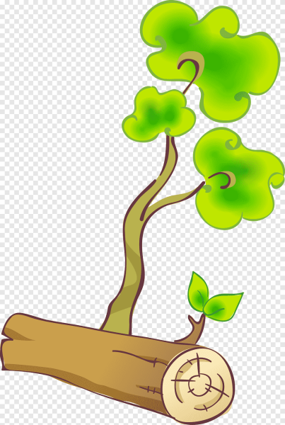 Береза без листьев