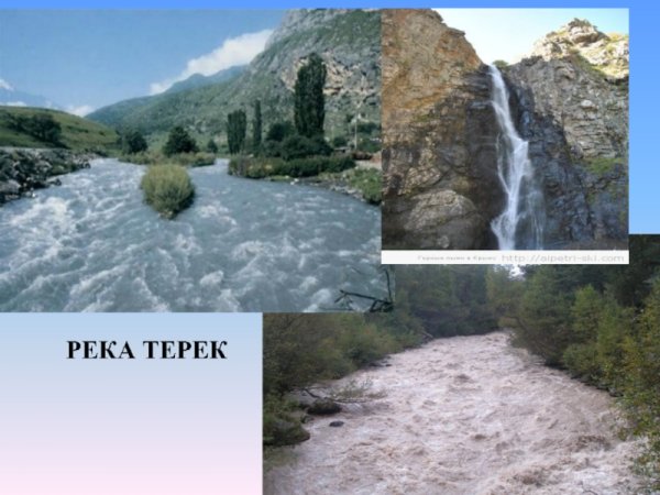 Устье реки Терек