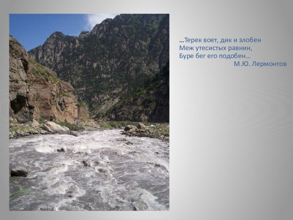 Река Терек впадает в Каспийское море