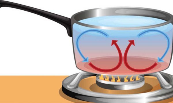 Термогравитационная конвекция