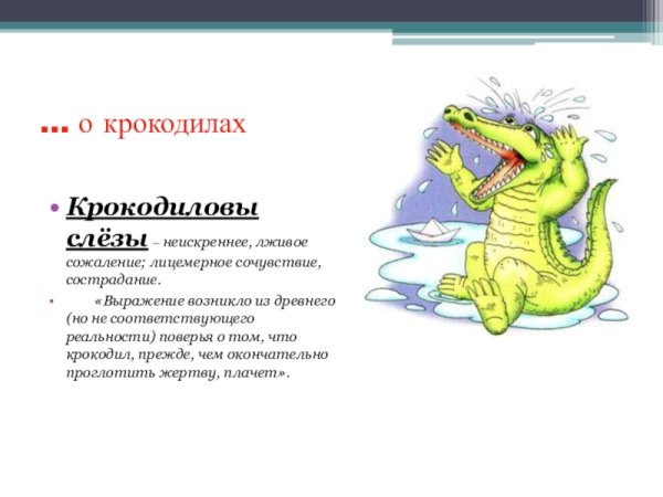 Интересные факты о крокодилах для детей
