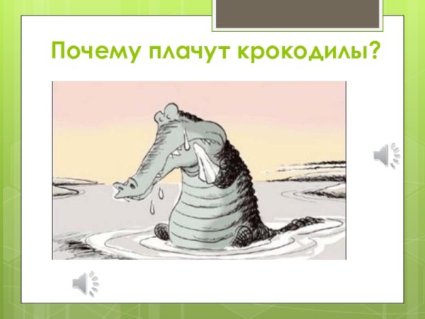 Крокодильчик плачет