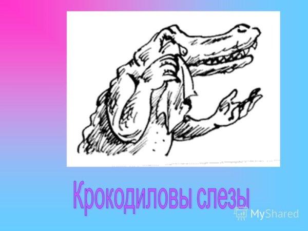 Крокодильи слезы фразеологизм