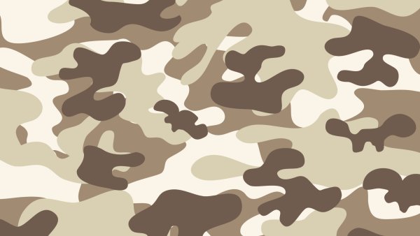 Армейский камуфляж