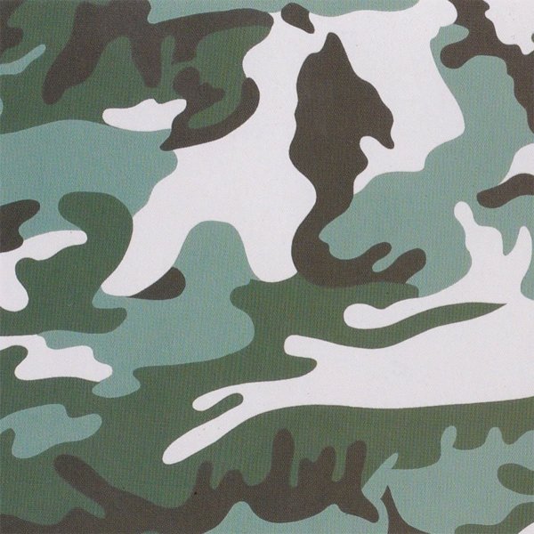Камуфляж Энди Уорхола