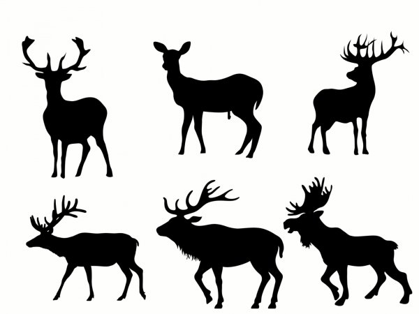 Силуэты диких животных