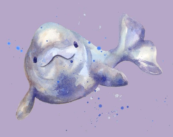 Морские животные киты арты