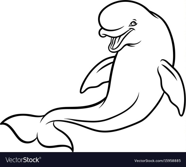 Белуха силуэт