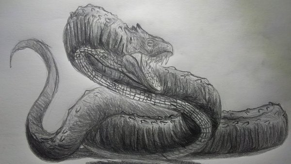 Василиск Гарри Поттер