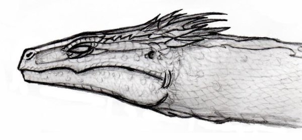 Нарисовать василиска из Гарри Поттера