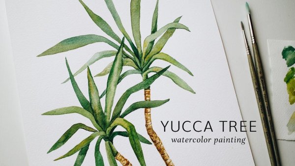 Юкка Шидигера вектор