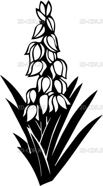 Юкка Сандера