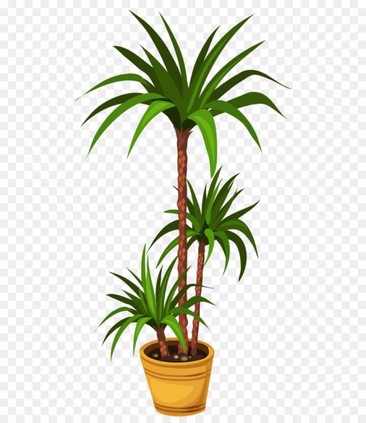 Юкка раскраска для детей