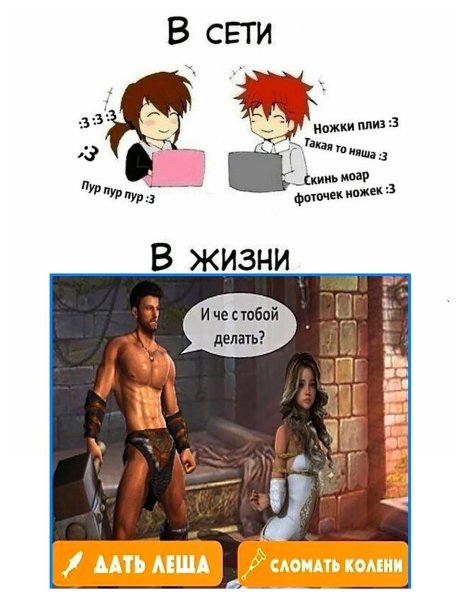 Ну и что мне с тобой делать