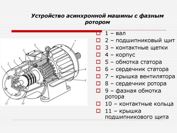 Устройство асинхронного двигателя с фазным ротором