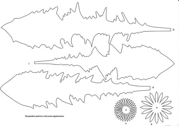 Одуванчик стебель и листья