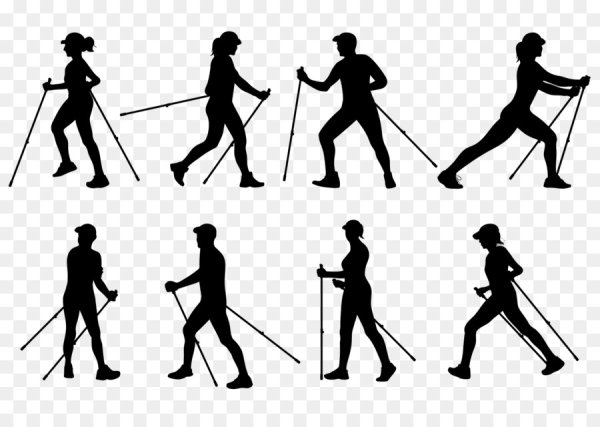 Северная ходьба с палками