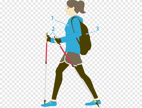 Северная ходьба с палками