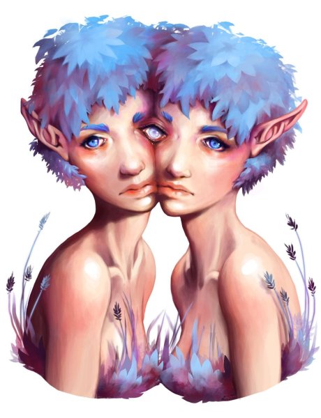 Сиамские Близнецы арты