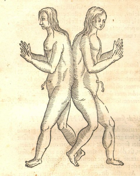 Сиамские Близнецы арт аниме