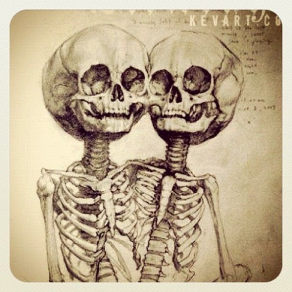 Сиамские Близнецы референс позы