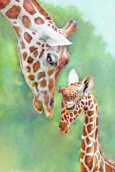 Жираф с цветком