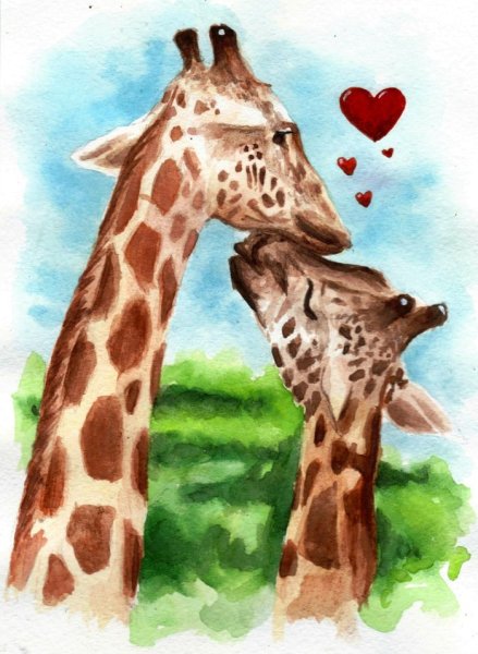 Жираф рисунок