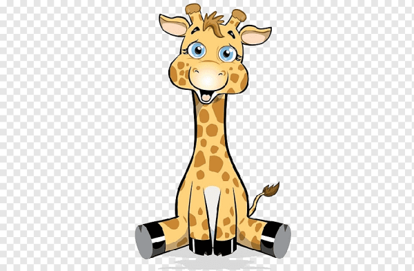 Животные жарких стран