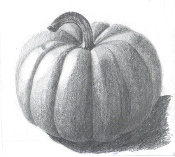 Тыква для срисовки