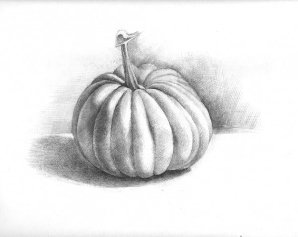 Тыква Графика